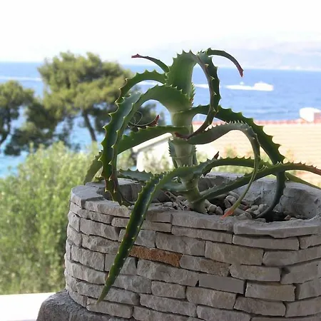 Apartment Vrandecic